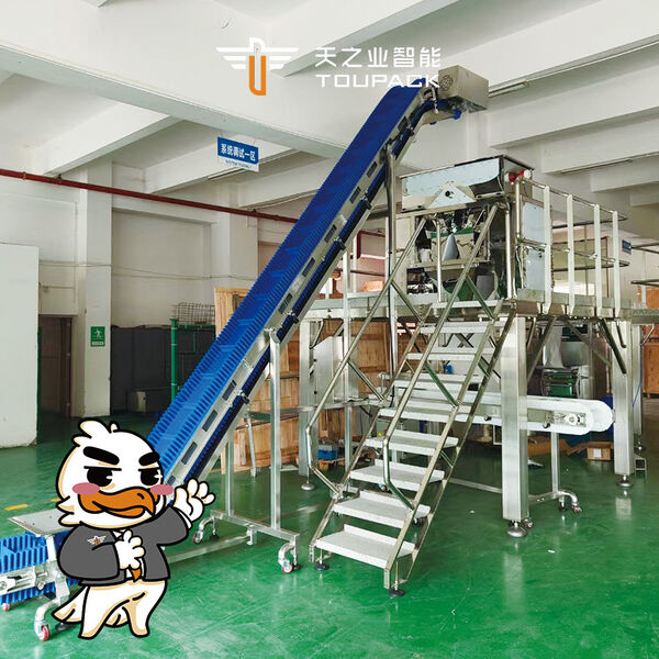 GUANGDONG TOUPACK INTELLIGENT EQUIPMENT CO., LTD