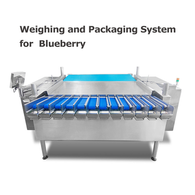 MCU Control Weighing And Packaging Machine For Blueberry Cherry Tomatoes Raspberries