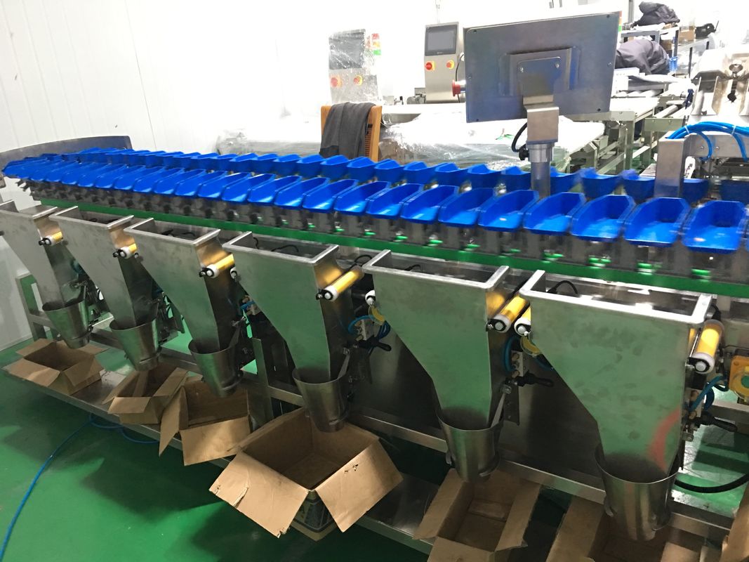 เครื่องคัดแยกน้ำหนัก Multihweight 12 เกรดสำหรับอาหารสดปลา / ไส้กรอก / ไข่แดง