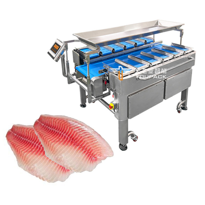 การรวมหลายฟังก์ชัน Weigher Scale น้ําหนักคงที่ เครื่องบรรจุเข็มขัดขนส่งสําหรับอาหาร เครื่องบรรจุเข็มขัดขนส่งรุ่นใหม่