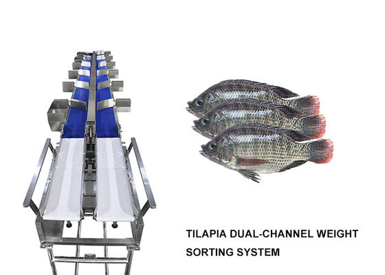 เครื่องคัดแยกน้ำหนัก Multihweight 12 เกรดสำหรับอาหารสดปลา / ไส้กรอก / ไข่แดง