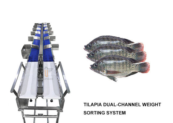 เครื่องคัดแยกน้ำหนักปลานิลแบบ Dual Channel 6 ระดับ