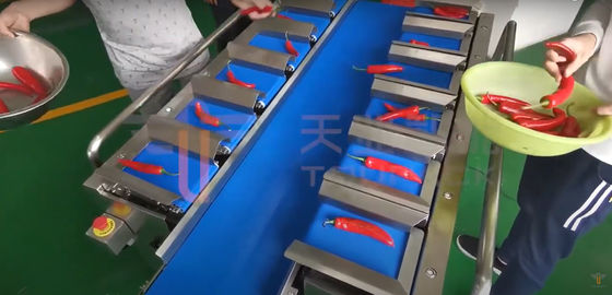 Chili Carrot Food Grade Siemens Belt Weigher สำหรับสินค้าที่ไม่สม่ำเสมอ