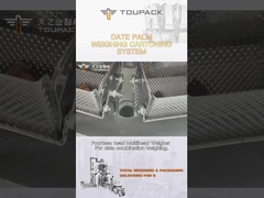 วันที่ปรับแต่ง สายการบรรจุกล่องปาล์ม เครื่องบรรจุเม็ด สายการผลิตอัตโนมัติ