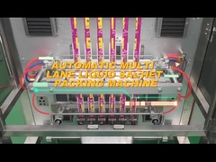 TOUPACK Multi-Lane Back Seal Packaging Machine เครื่องบรรจุของเหลวแบบเม็ดผง