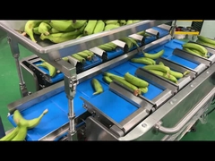 โรงงานอุตสาหกรรม Semi Auto Mesh Net Bag Weighing Counting Netting Clipping Packing Packaging Machine เครื่องที่ใช้บรรจุภัณฑ์