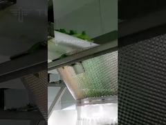 เครื่องชั่งซัลลาตหลายหัว