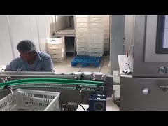 อัตโนมัติ อิเล็กทรอนิกส์ เครื่องตรวจ X-Ray สําหรับอุตสาหกรรมอาหาร ระบบตรวจ X-Ray