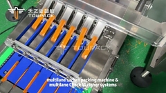 เครื่องบรรจุกระเป๋ากระเป๋าไม้ประเภทอุตสาหกรรมหลายเลน พร้อมเครื่องชักชั่งหลายเลน