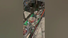 เครื่องบรรจุภัณฑ์ VFFS สำหรับอาหารนก อาหารสัตว์เลี้ยง ถั่ว เม็ด ผลไม้อบแห้ง สำหรับผลไม้แห้ง